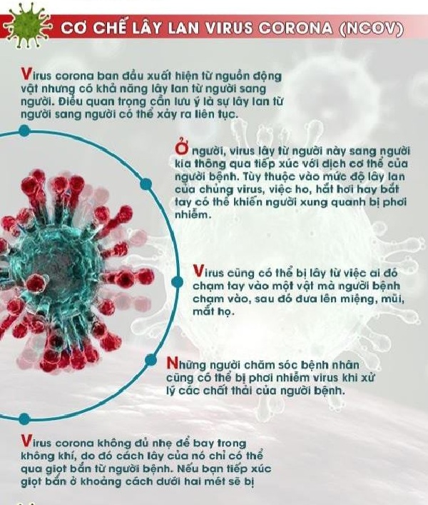 Cơ chế lây lan của virus corona