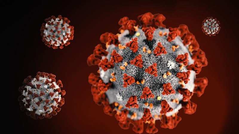 Bản đồ gen virus SARS-CoV-2 có thể lý giải cách virus sinh sôi và thoát khỏi hệ miễn dịch của con người