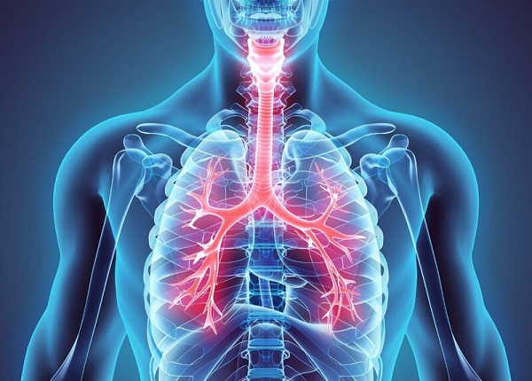 Những dấu hiệu cảnh báo về sức khỏe phổi